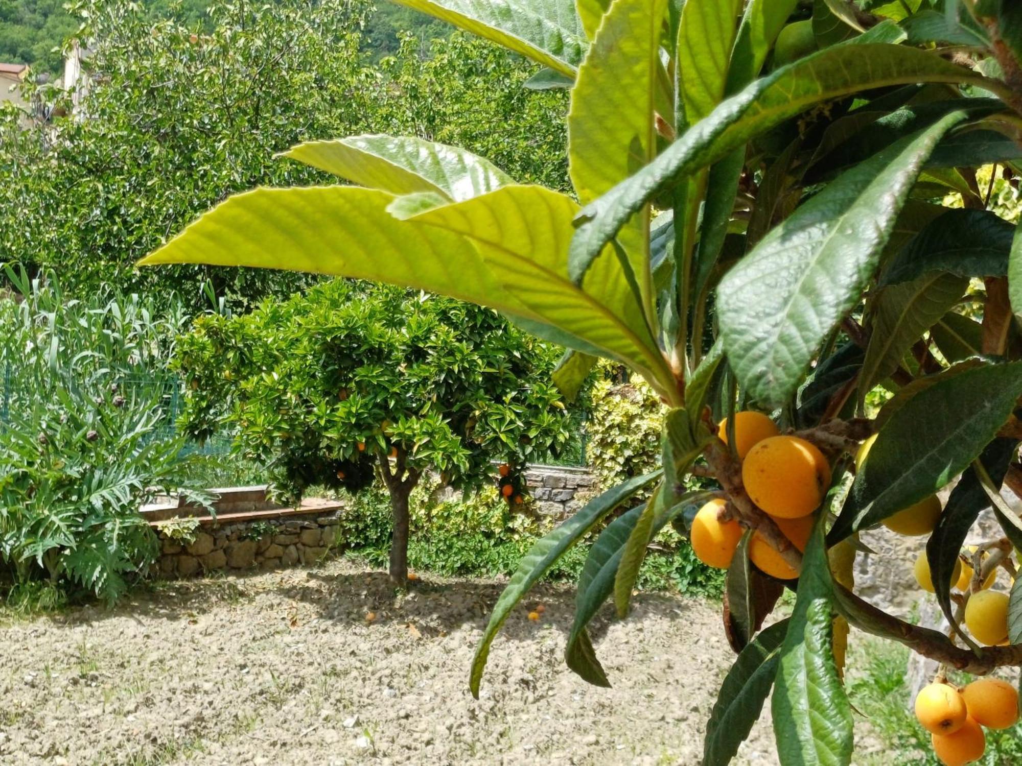 Country House B&B Antica Dimora Del Sole กาเมรอตา ภายนอก รูปภาพ