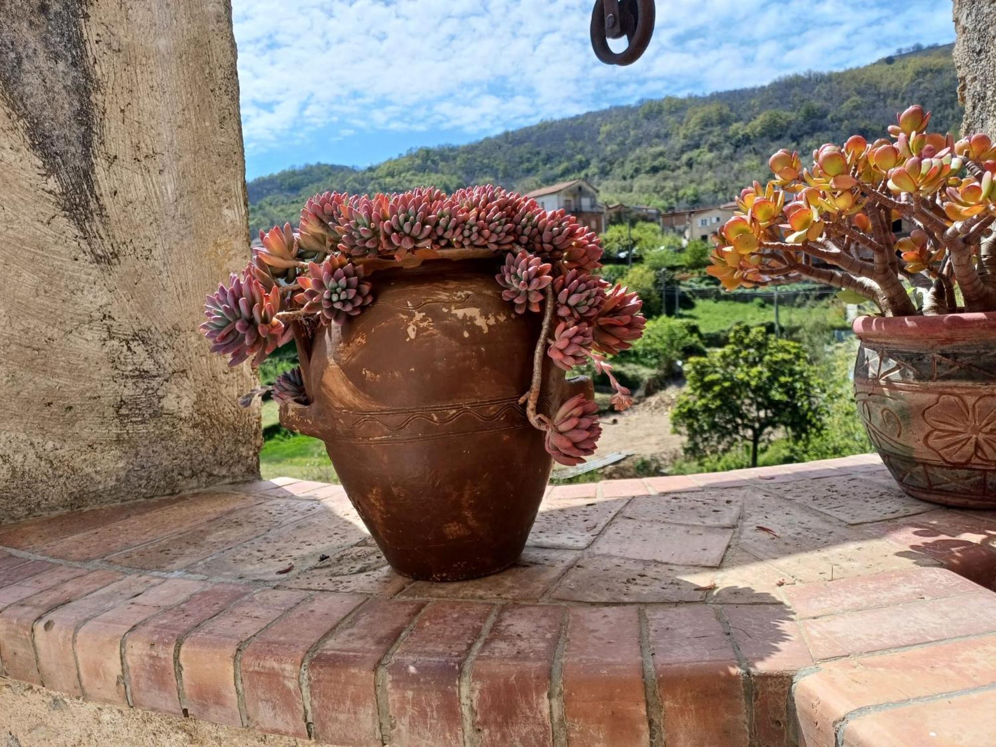 Country House B&B Antica Dimora Del Sole กาเมรอตา ภายนอก รูปภาพ